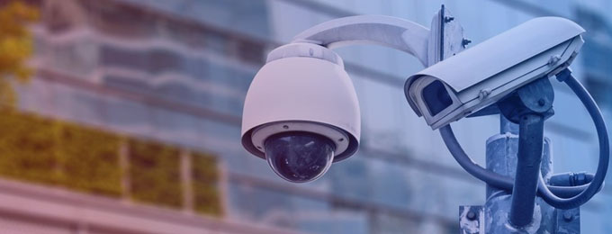 Image of the team member