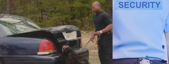 Image of the team member